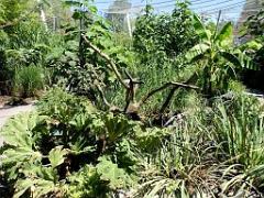 101PARC AUX OISEAUX DANS L AIN 2016 2_000039